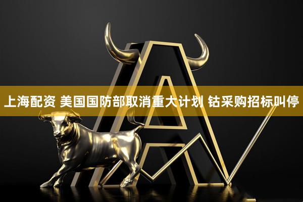 上海配资 美国国防部取消重大计划 钴采购招标叫停
