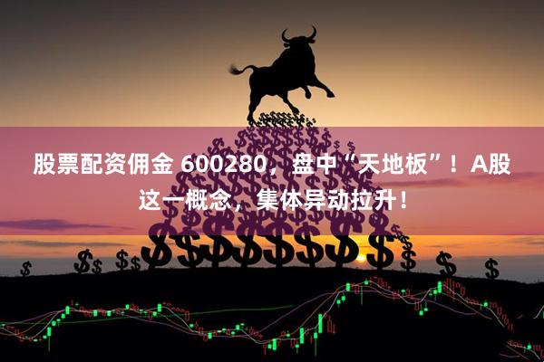 股票配资佣金 600280，盘中“天地板”！A股这一概念，集体异动拉升！