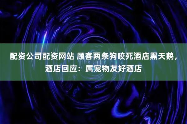 配资公司配资网站 顾客两条狗咬死酒店黑天鹅，酒店回应：属宠物友好酒店