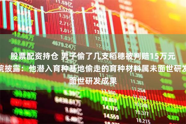 股票配资持仓 男子偷了几支稻穗被判赔15万元，法院披露：他潜入育种基地偷走的育种材料属未面世研发成果